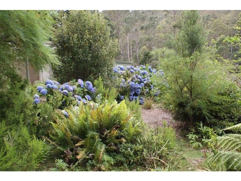 1184a Mole Creek Road, Chudleigh TAS 7304