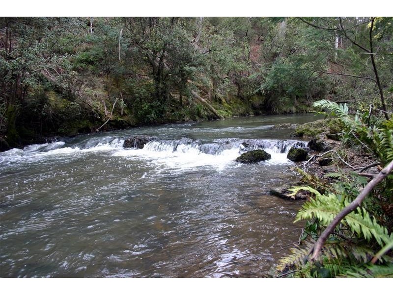 1184a Mole Creek Road, Chudleigh TAS 7304