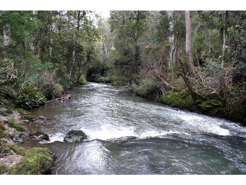 1184a Mole Creek Road, Chudleigh TAS 7304