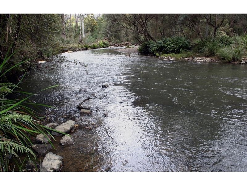 1184a Mole Creek Road, Chudleigh TAS 7304