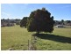 61 West Church Street, Deloraine TAS 7304
