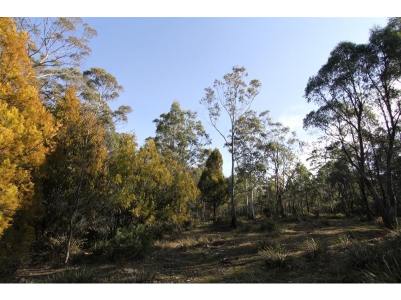 13563 Highland Lakes Road, Golden Valley TAS 7304