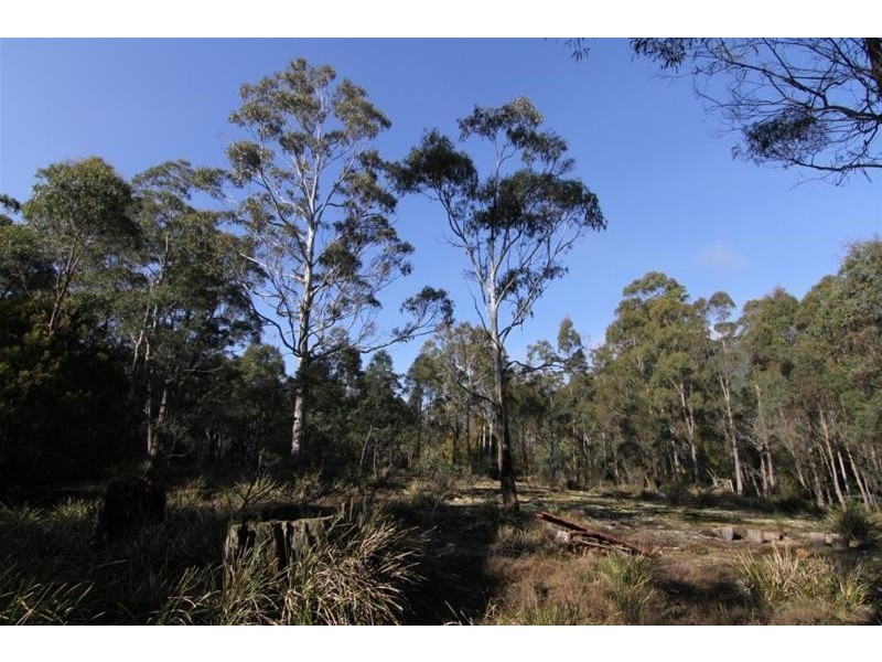 13563 Highland Lakes Road, Golden Valley TAS 7304