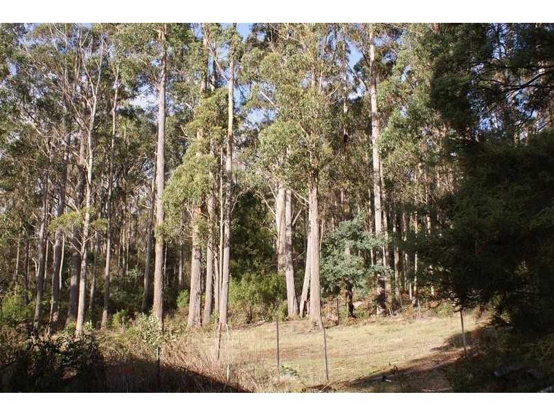 164 Samuel Street, Elizabeth Town TAS 7304