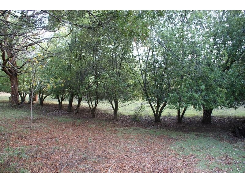 164 Samuel Street, Elizabeth Town TAS 7304