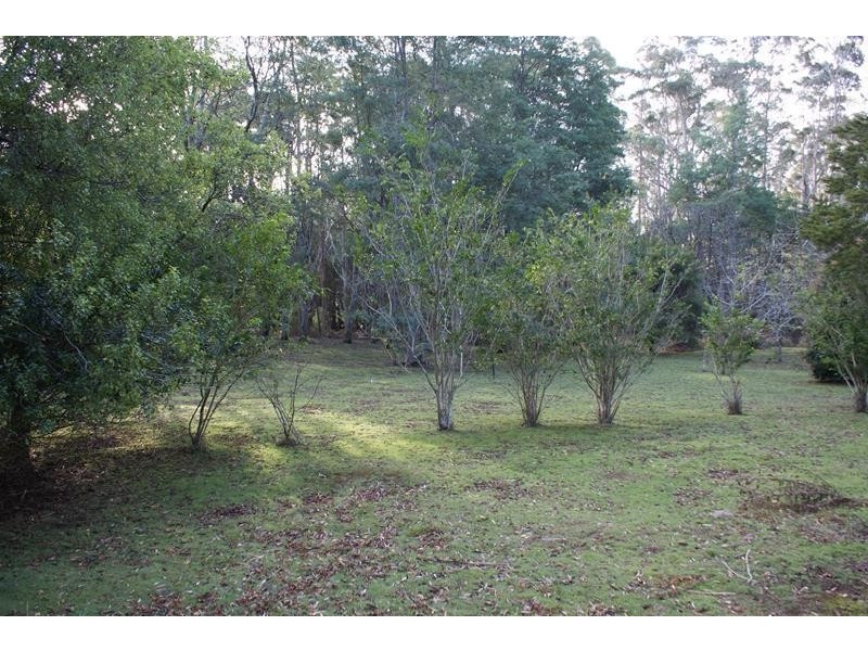 164 Samuel Street, Elizabeth Town TAS 7304