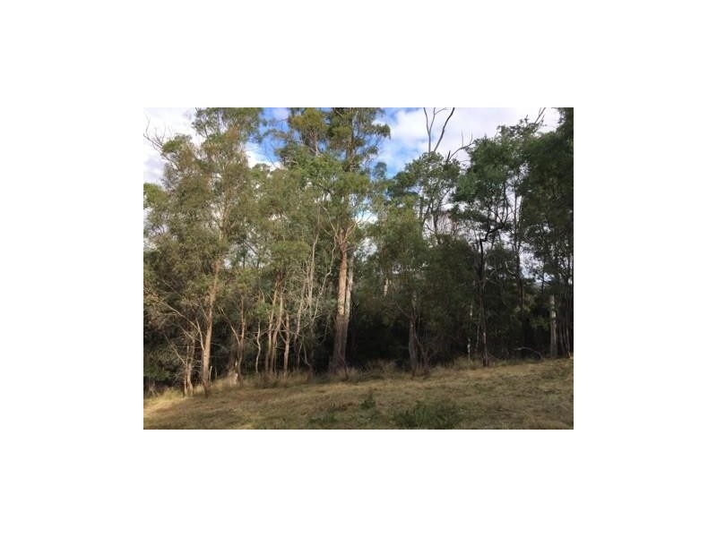 18 Pleasant Hills Drive, Grindelwald TAS 7277