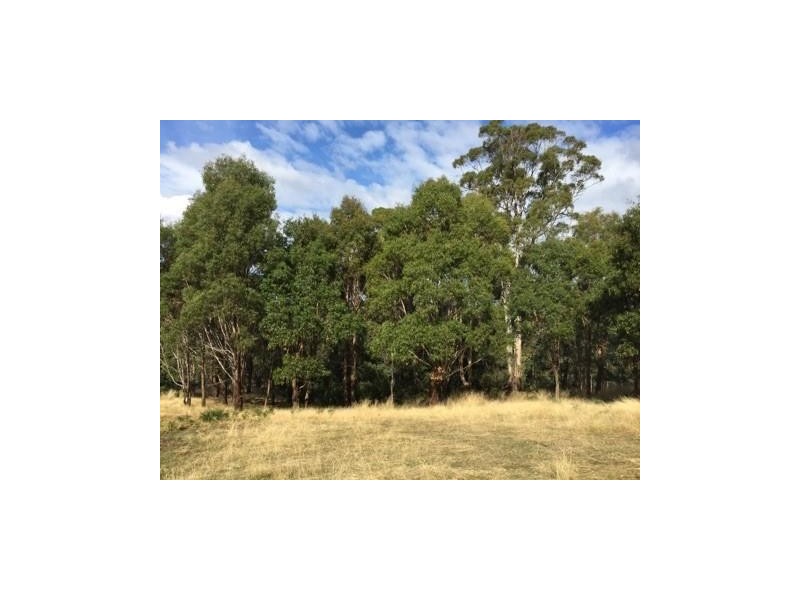 18 Pleasant Hills Drive, Grindelwald TAS 7277