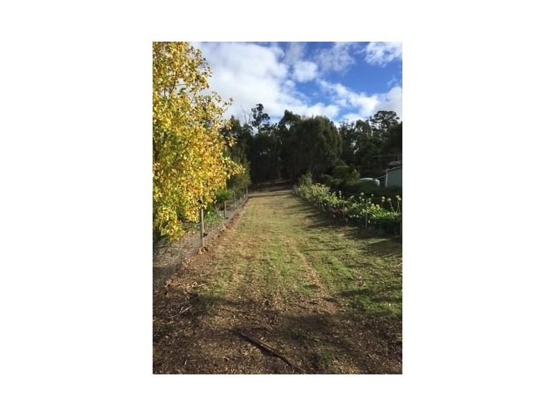 18 Pleasant Hills Drive, Grindelwald TAS 7277