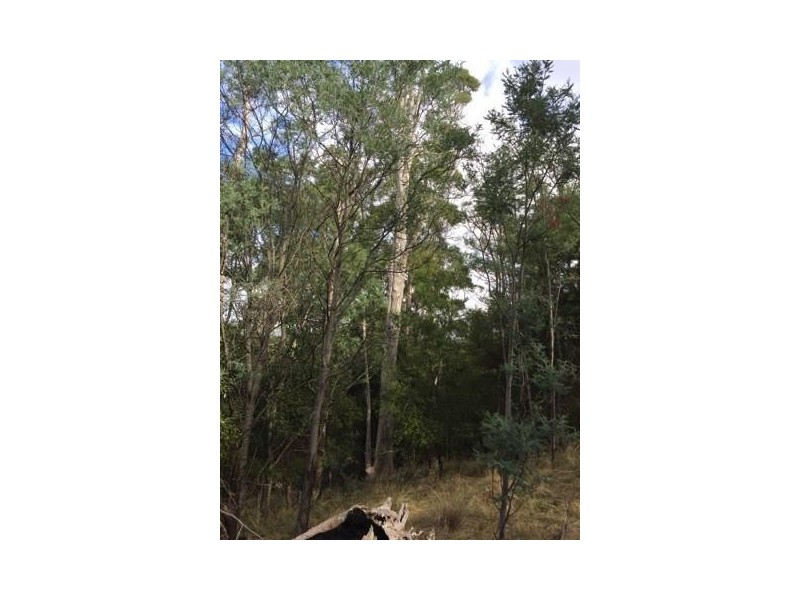 18 Pleasant Hills Drive, Grindelwald TAS 7277