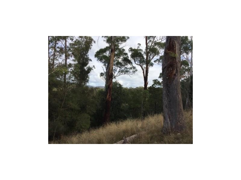 18 Pleasant Hills Drive, Grindelwald TAS 7277