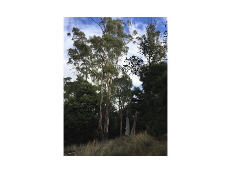 18 Pleasant Hills Drive, Grindelwald TAS 7277