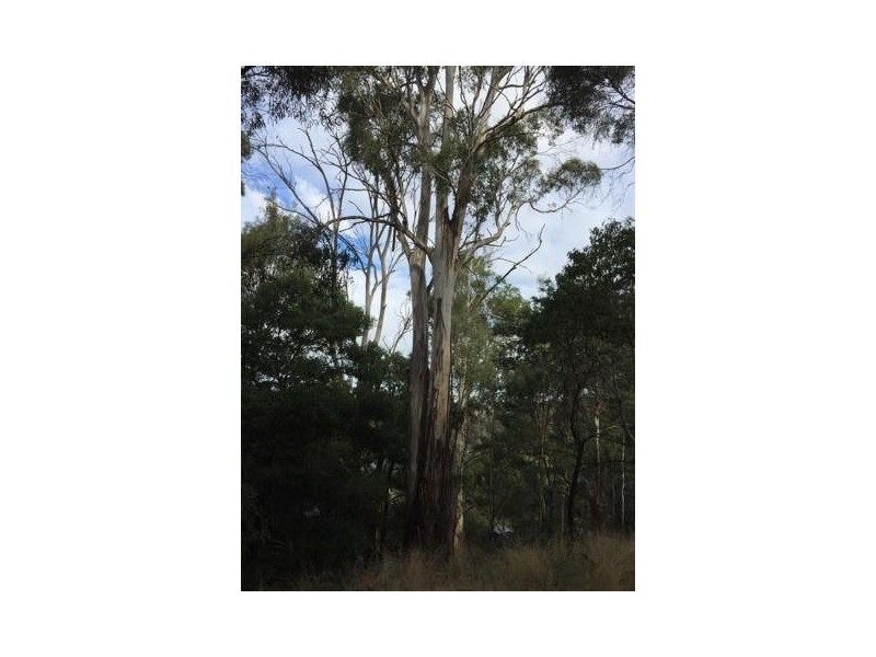 18 Pleasant Hills Drive, Grindelwald TAS 7277