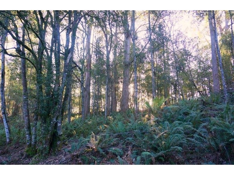 0 Botts Road, Lorinna TAS 7306