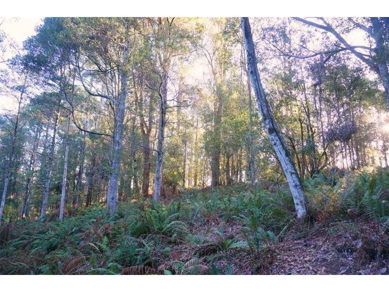 0 Botts Road, Lorinna TAS 7306