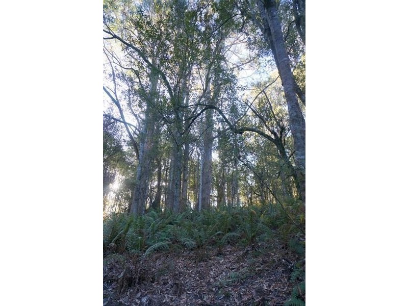 0 Botts Road, Lorinna TAS 7306