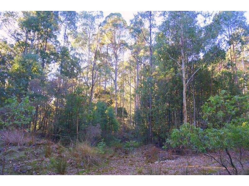 0 Botts Road, Lorinna TAS 7306