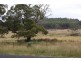 0 Quamby Brook Road, Deloraine TAS 7304