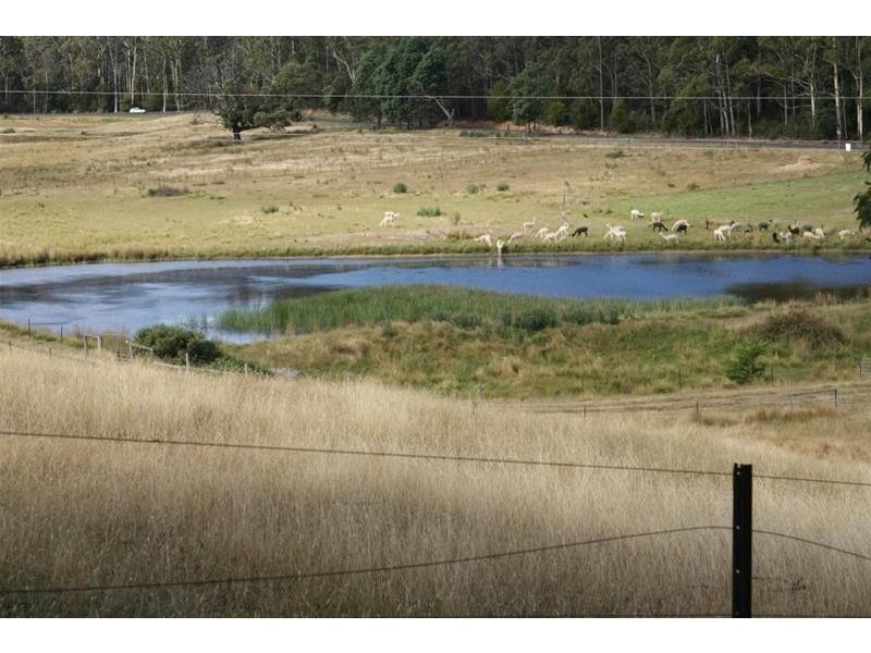 0 Quamby Brook Road, Deloraine TAS 7304