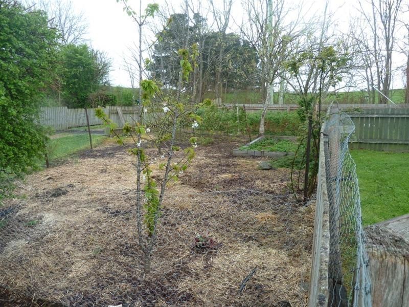 470 Dunorlan Road, Dunorlan TAS 7304