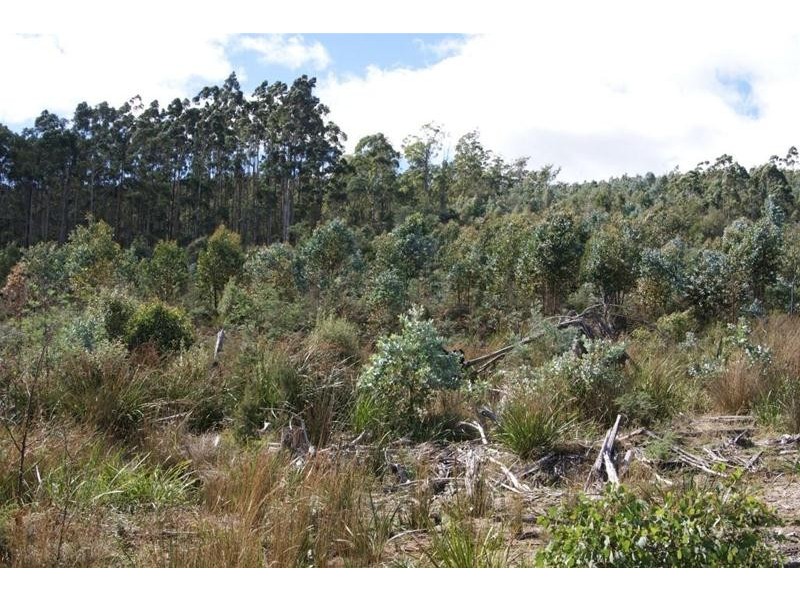 Lot 1 Bogan Road, Golden Valley TAS 7304