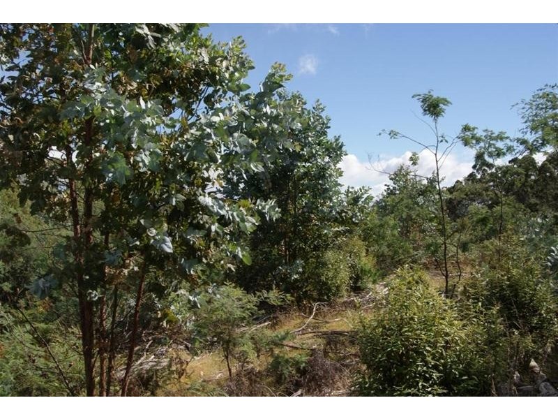 Lot 1 Bogan Road, Golden Valley TAS 7304