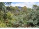 Lot 1 Bogan Road, Golden Valley TAS 7304