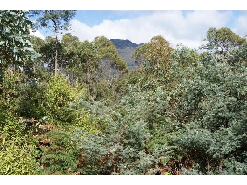 Lot 1 Bogan Road, Golden Valley TAS 7304