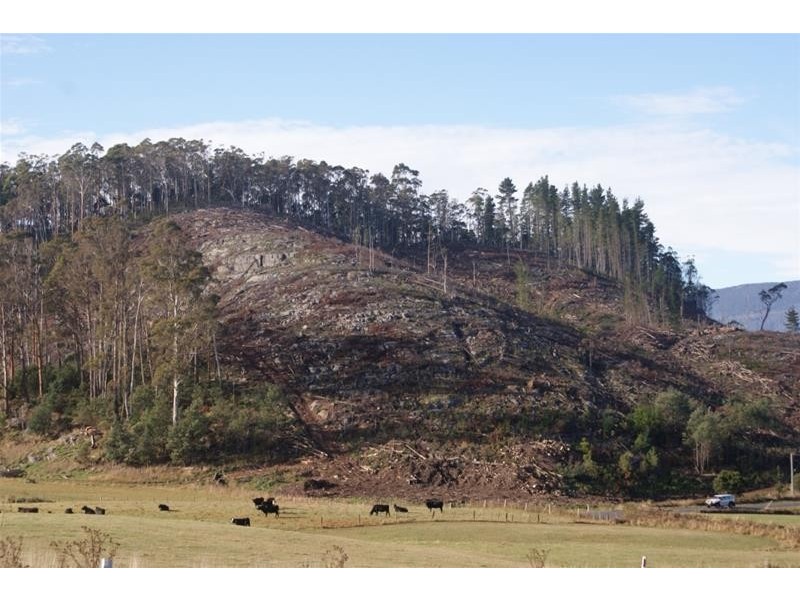 485 Caveside Road, Mole Creek TAS 7304