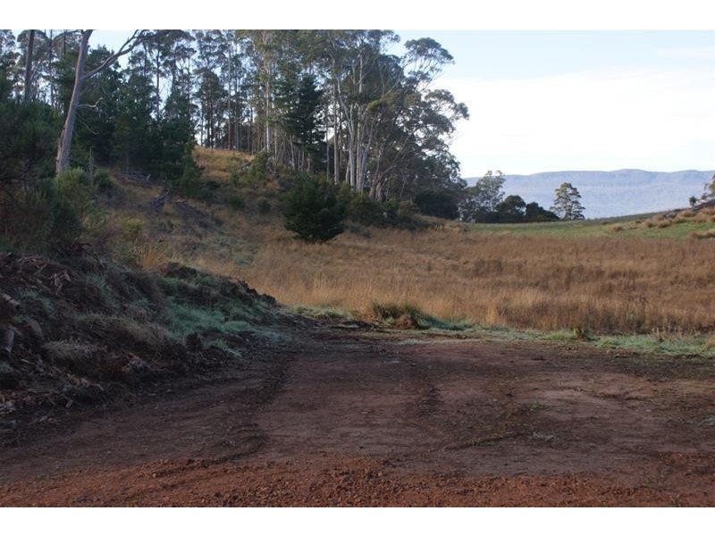 485 Caveside Road, Mole Creek TAS 7304