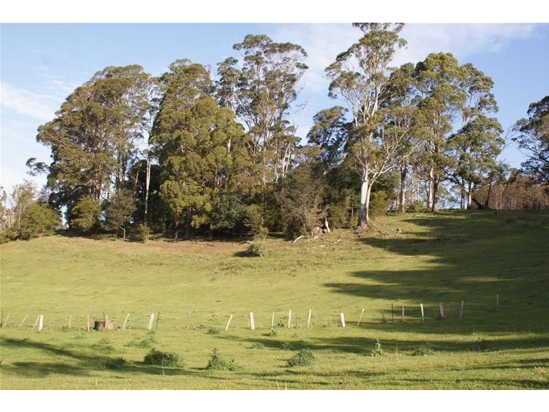 214 Leonards Road, Montana TAS 7304