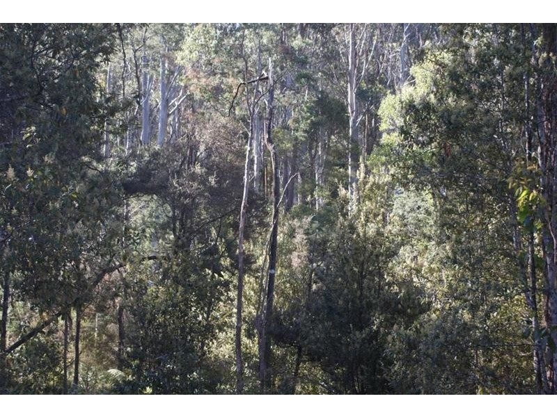 250 Lonely Hollow Road, Lower Beulah TAS 7306