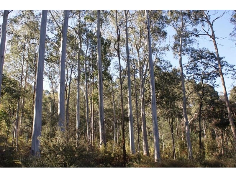 250 Lonely Hollow Road, Lower Beulah TAS 7306