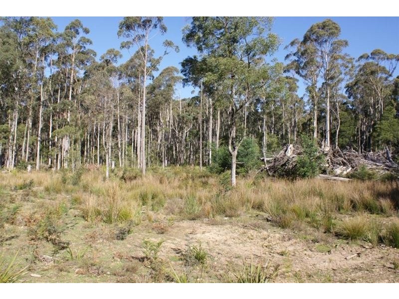 250 Lonely Hollow Road, Lower Beulah TAS 7306