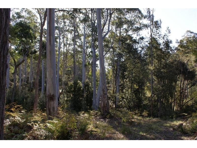 250 Lonely Hollow Road, Lower Beulah TAS 7306