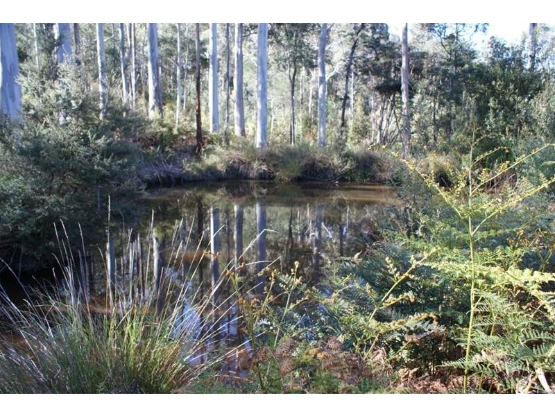 250 Lonely Hollow Road, Lower Beulah TAS 7306