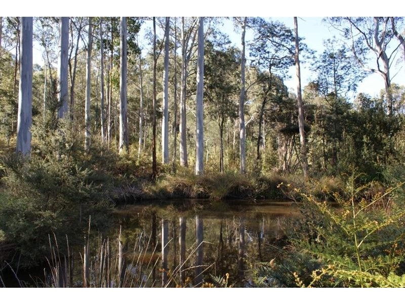 250 Lonely Hollow Road, Lower Beulah TAS 7306