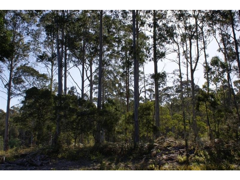 250 Lonely Hollow Road, Lower Beulah TAS 7306