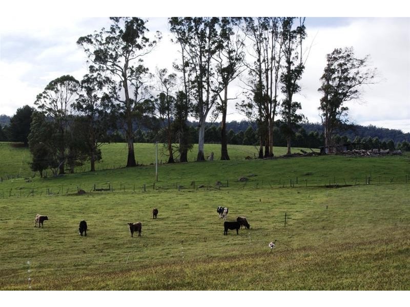 5284 Bass Highway, Deloraine TAS 7304