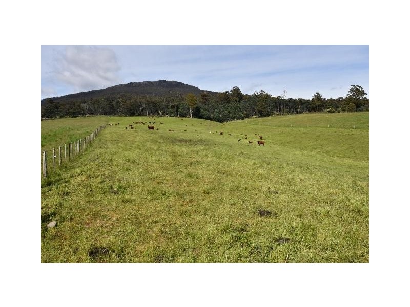 68 Mt Beulah Road, Western Creek TAS 7304
