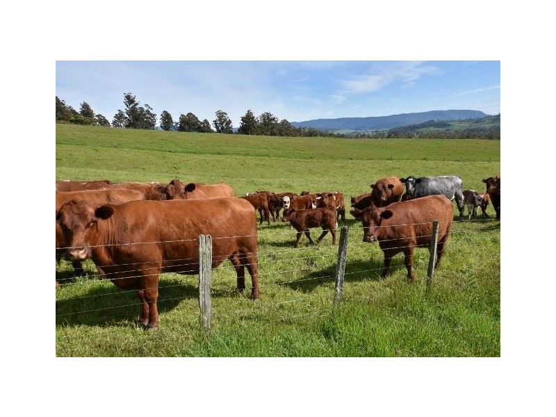 68 Mt Beulah Road, Western Creek TAS 7304