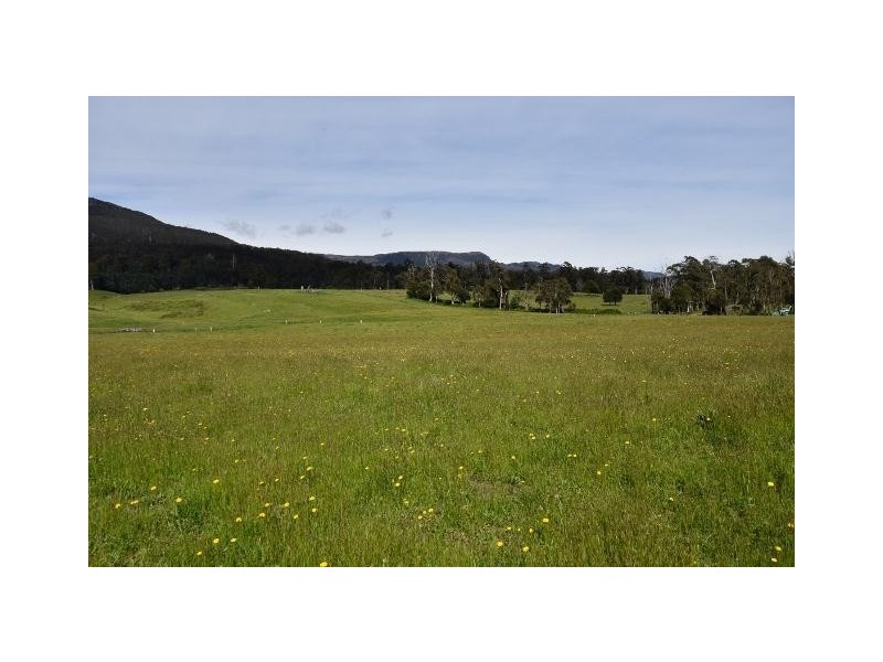 68 Mt Beulah Road, Western Creek TAS 7304