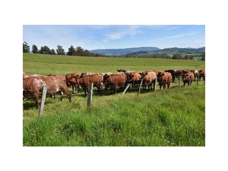 68 Mt Beulah Road, Western Creek TAS 7304