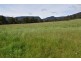 68 Mt Beulah Road, Western Creek TAS 7304
