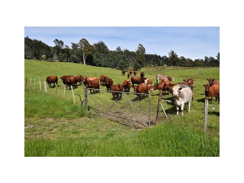 68 Mt Beulah Road, Western Creek TAS 7304