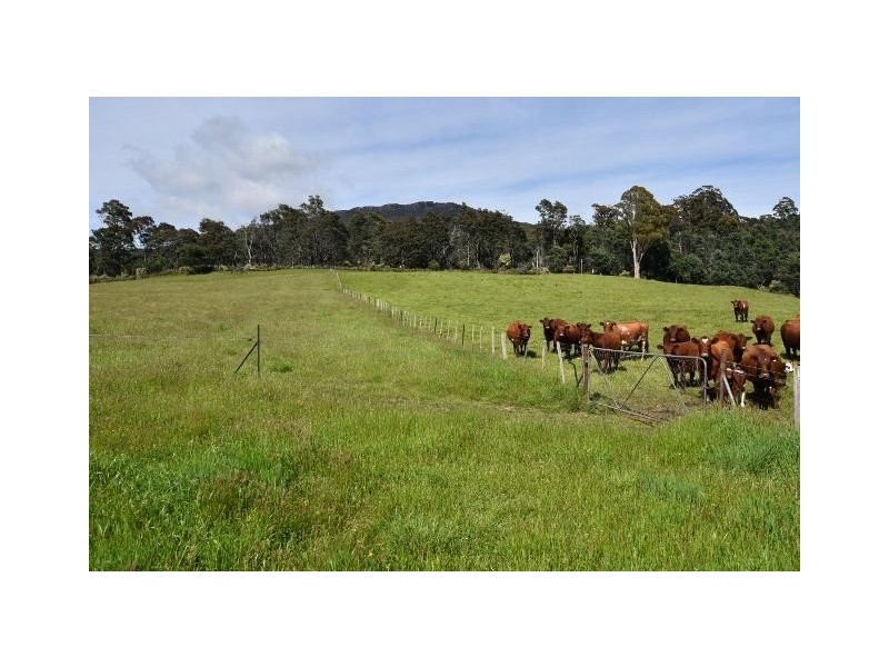 68 Mt Beulah Road, Western Creek TAS 7304