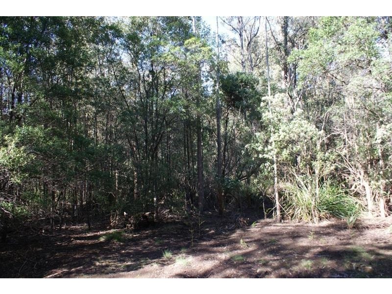 Lot 1 Western Creek Road, Western Creek TAS 7304