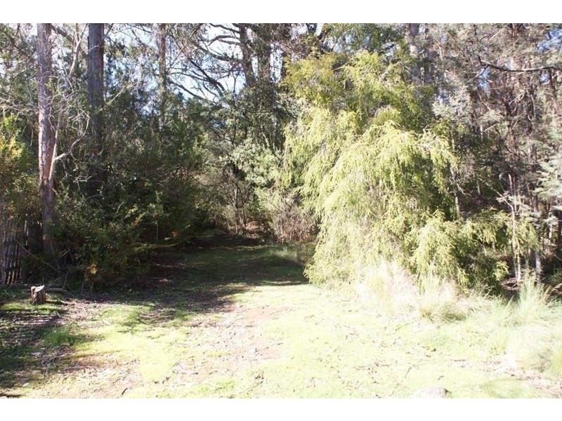 Lot 1 Western Creek Road, Western Creek TAS 7304