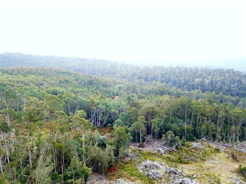 0 Blairs Road, Mole Creek TAS 7304