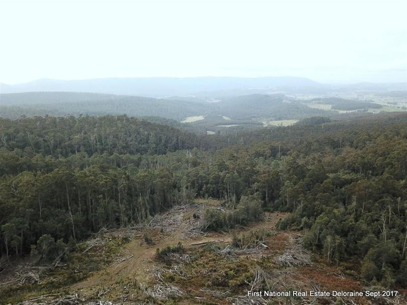 0 Blairs Road, Mole Creek TAS 7304